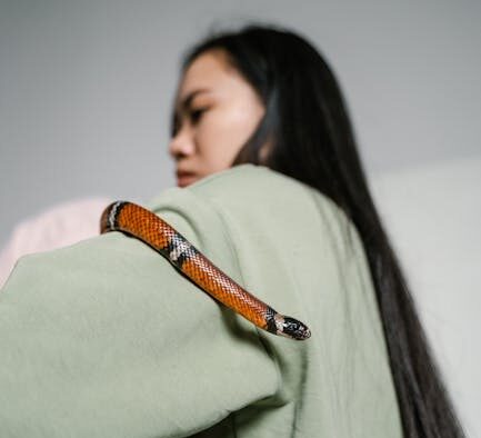 Anxiety in multi pet homes