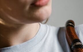 Pet dental care and respect for boundaries