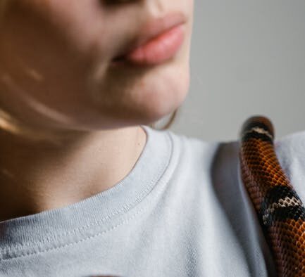 Understanding Oral Sensitivity in Pets