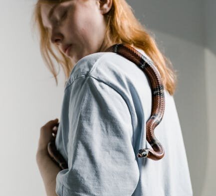 Pet peeing when nervous