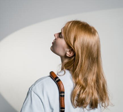 Sundowning style anxiety in pets