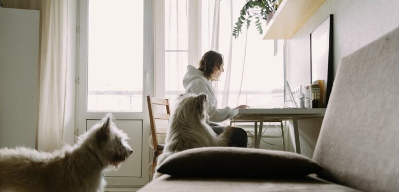 Pet dental routine ideas for dogs