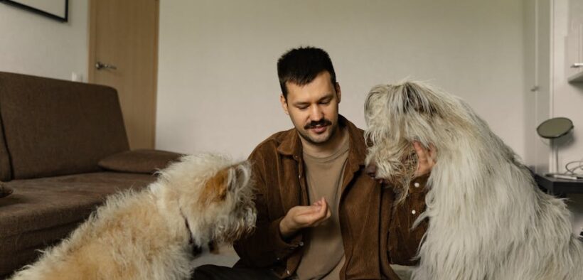 Feeding guide for large breed dogs