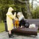 Basic training for dogs on rainy days indoors