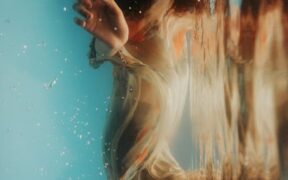 Preventing motion sickness in cats gentle approaches