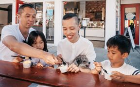 Pet dental care awareness during treat time