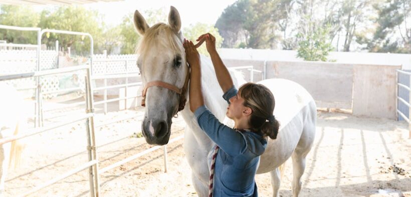 Pet dental care awareness and responsible grooming