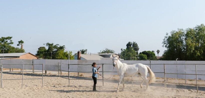 Dust-related sneeze pets