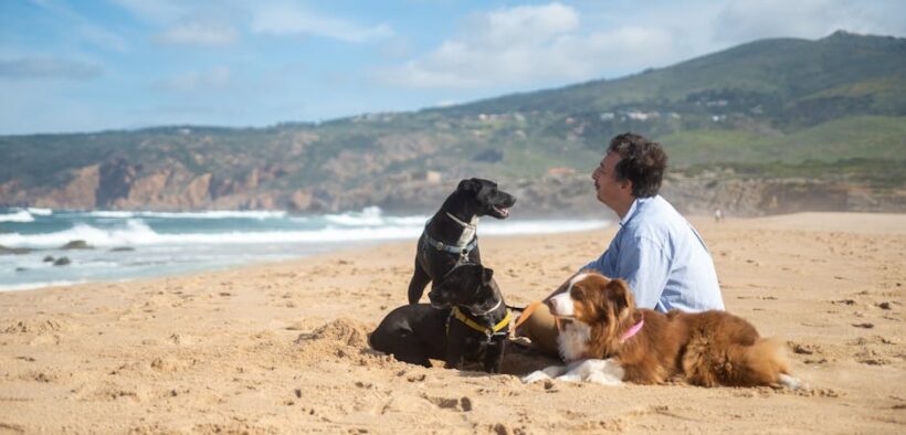 Vaccination recommendations for dogs living with wildlife exposure