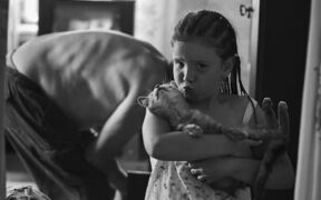 Pet dental care awareness and simple routines