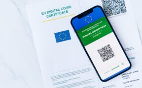 Vaccine safety information for new cat owners