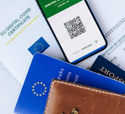 Preparing for travel with your dog vaccination verification