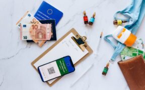 Puppy vaccine visit checklist for new owners