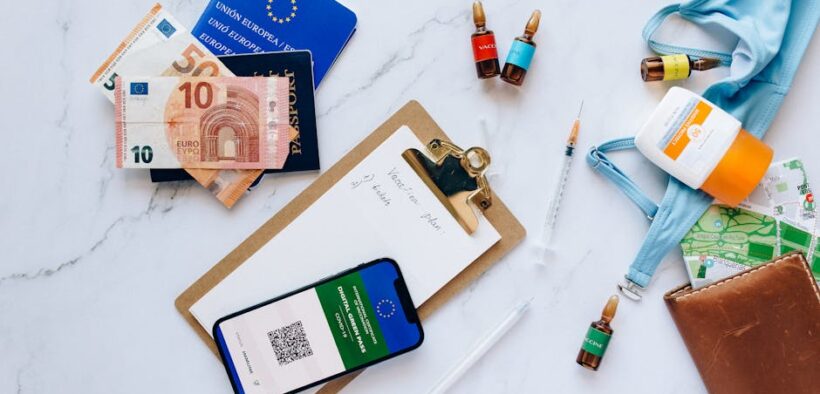 Preparing for travel with your cat essential vaccination checks