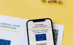 Travel vaccination needs for cats safe and legal guidance