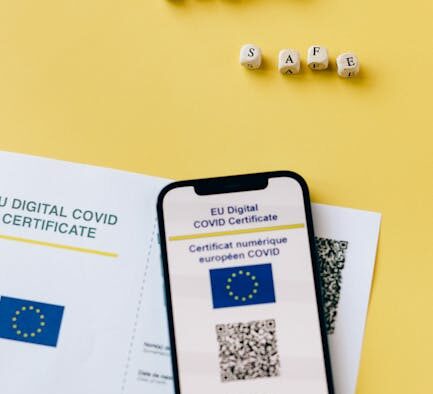 Travel vaccination needs for cats safe and legal guidance