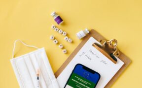 Travel vaccination needs for dogs essential planning