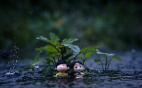 Frequent small urine puddles