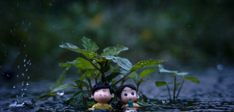 Frequent small urine puddles