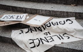 Cat fainting causes signs and veterinary steps