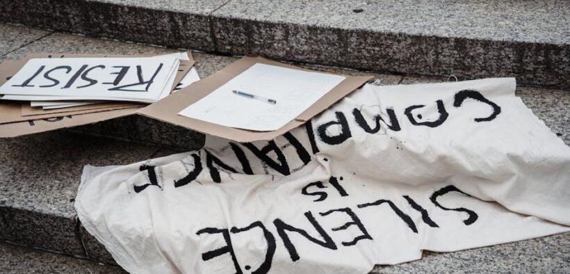 Cat fainting causes signs and veterinary steps