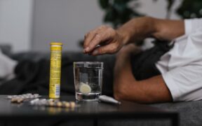 Supplements for senior pets with mild stiffness