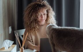 Preventing obesity in indoor cats lifestyle habits