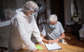 Ear infections in dogs signs causes and treatment overview