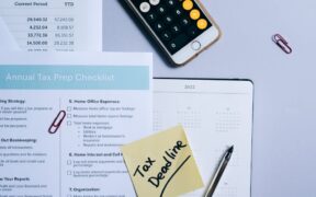 Annual vaccination reminders for cat owners staying organized