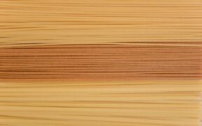 Healthy diet basics for puppies long term benefits