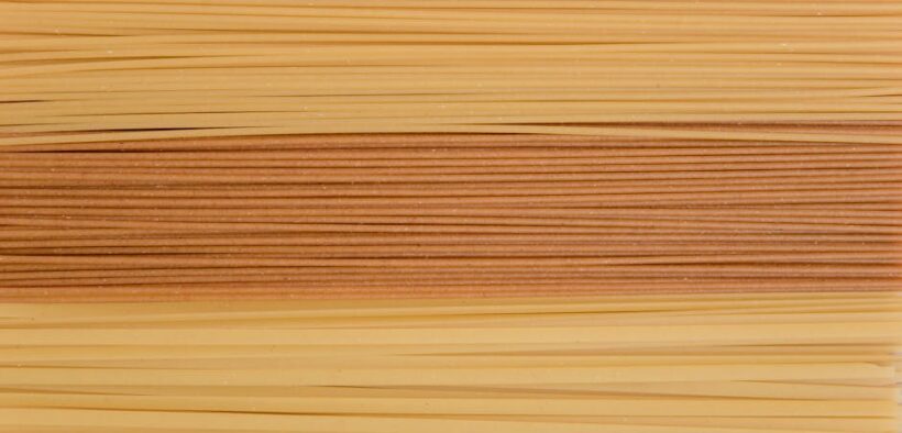 Healthy diet basics for puppies long term benefits