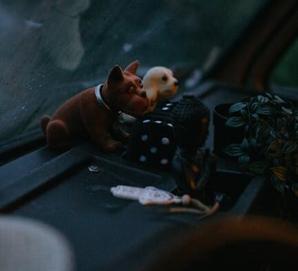 Dogs Reacting When Toys Taken Abruptly