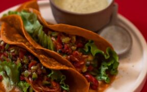 Spicy foods harmful to dogs