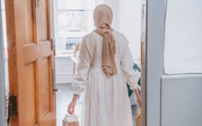 Safe home grooming routine for dogs step by step