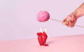 Urinary burning feeling pets