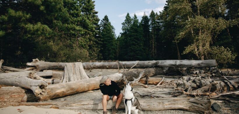 Chemical irritation breathing dog