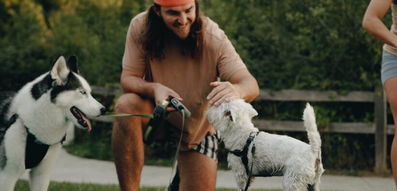 Pet squatting repeatedly