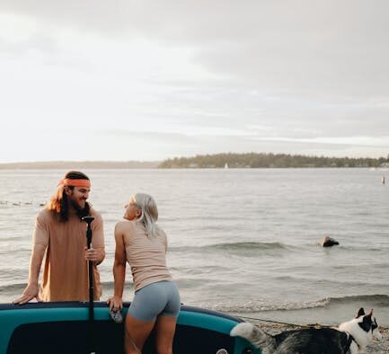 Dogs reacting during conflicts with other pets