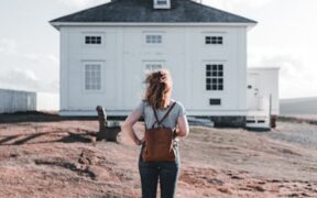 Feeding guide for independent adult cats