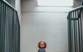 Fear of staircases anxiety dogs