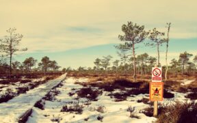 Preventing cold exposure in cats signs and how to protect them