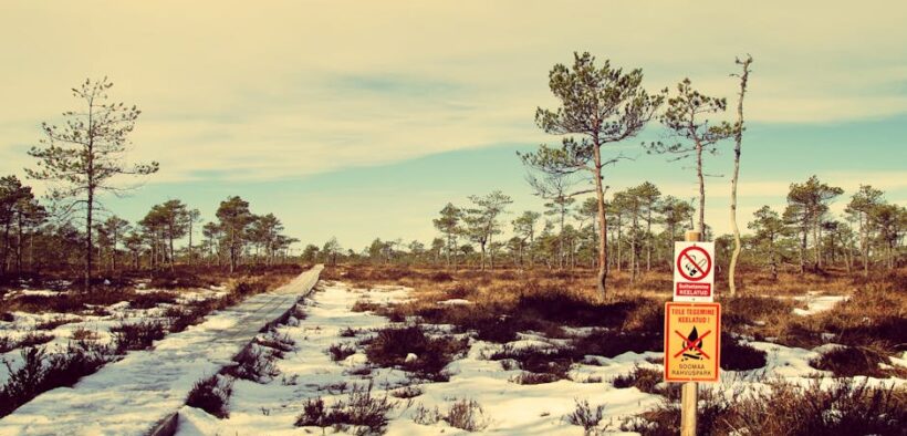 Preventing cold exposure in cats signs and how to protect them