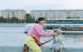 Blocked urination pets