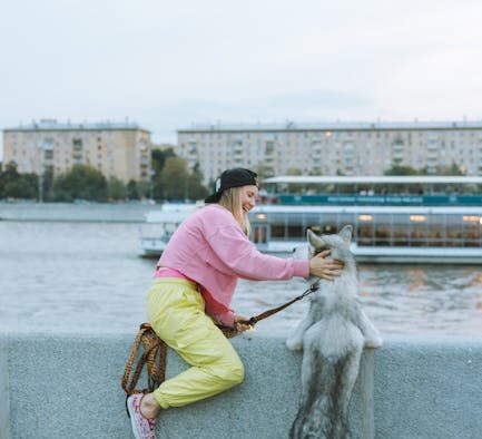 Blocked urination pets