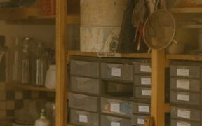 Unsafe pantry items for pets