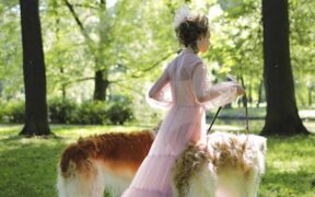 Holding urine too long dog