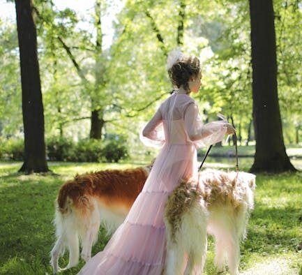 Holding urine too long dog