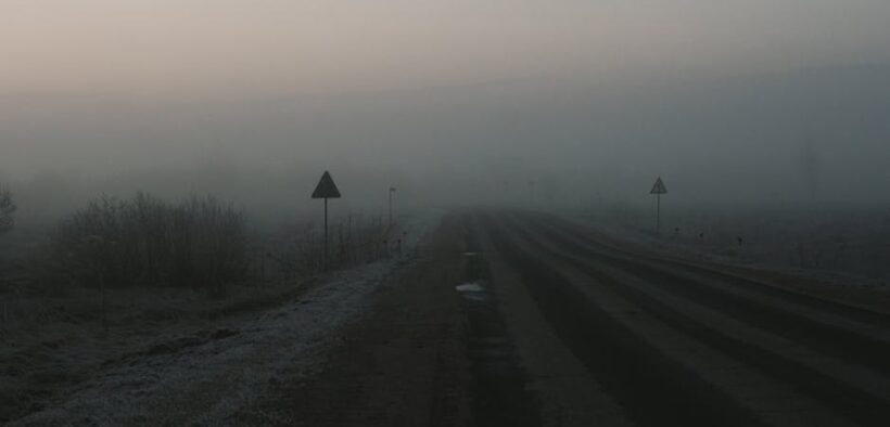 Sudden diarrhea in cats early signs and monitoring