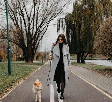 Supplements for healthy coat during shedding season dogs