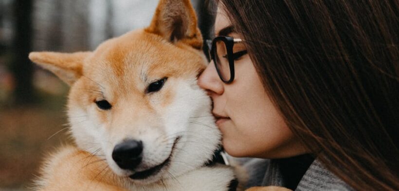 Pet dental care and bonding